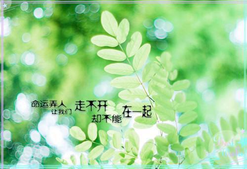 延期心动周浔全文小说温若凝周浔热门小说完整版阅读