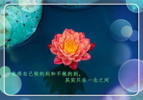 作者为白煦的小说诱入春色全文阅读