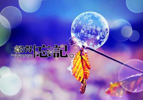 全网独家（爱恨已去,徒留碎梦满地：结局+番外）爱恨已去,徒留碎梦满地：结局+番外完整章节已完结阅读_顾渊姜苒最新章节列表（爱恨已去,徒留碎梦满地：结局+番外）