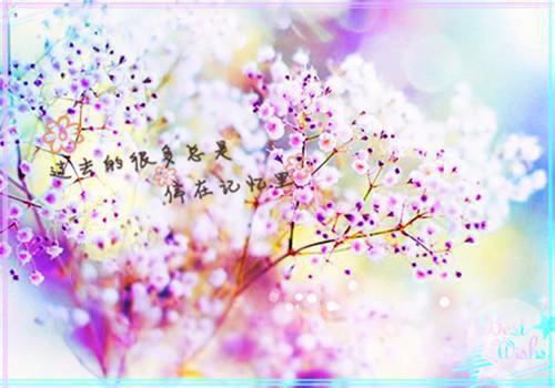 情感纠葛作品我在村里养龙的秘密被表妹直播曝光了全文小说皮卡丘佚名小说在线阅读