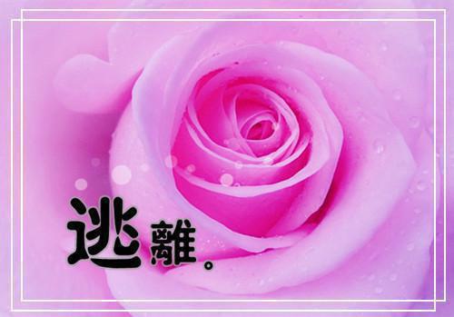 慕小卿墨宸（慕小卿墨宸）全文免费阅读无弹窗大结局_（慕小卿墨宸）慕小卿墨宸免费阅读无弹窗最新章节列表（慕小卿墨宸）
