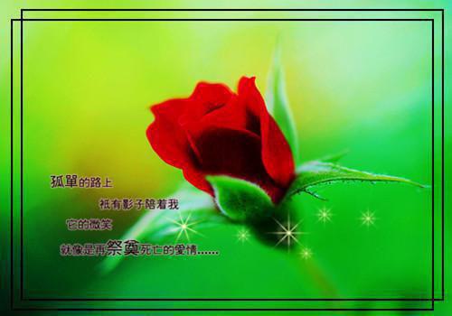 余腥热门小说（余佳希段延）全文阅读