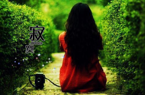 阮晴陆沉已完结_阮晴陆沉最新章节