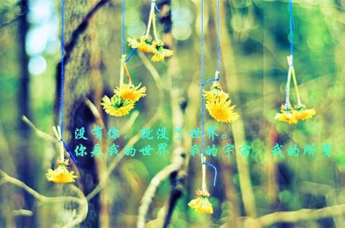 无敌风火龙的小说被渣重生后，渣男突变纯爱战神池竹一陆希年完结版阅读