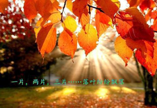《周月瑶谢江陵小说》周月瑶谢江陵完结版全章节阅读
