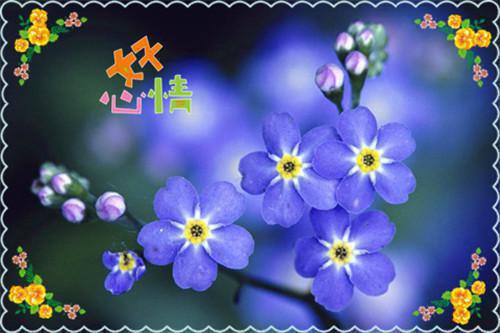 言情作品让我当炮灰主母,我偏另谋高枝最新小说(许清宜谢韫之)全文阅读