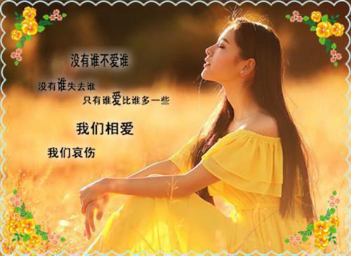完结版小说桑洛洛岑忱时全文免费全文免费阅读