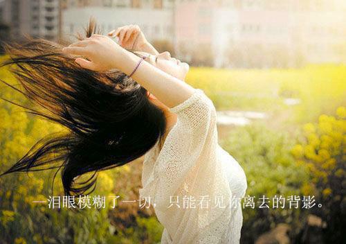 直播卖烟花，毛熊买去炸鹰酱？「精彩小说」苏奇黄鹤名免费阅读