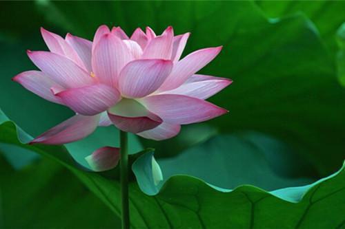 周海芸梁承安周海芸梁承安小说全文免费阅读无弹窗大结局_(周海芸梁承安)周海芸梁承安最新章节列表（周海芸梁承安）