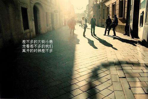 穿越后，寡妇她只想安静养包子小说全本完结版免费阅读