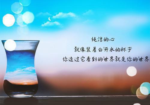 拒绝炮灰剧本后我杀疯了全文小说三月不知春小说在线阅读