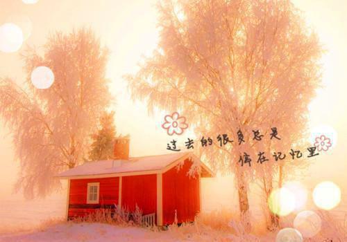 完结版时安的小说甩掉渣男前任后，被弟弟宠上天阅读
