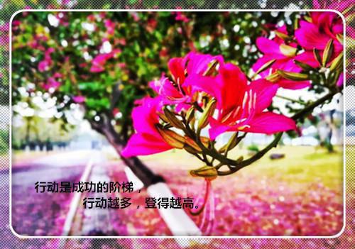 晚安心语正能量女人温馨的句子