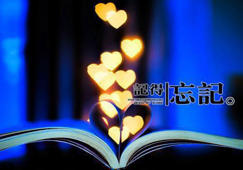 全本小说玫瑰的复仇熙熙钱耀全文免费阅读
