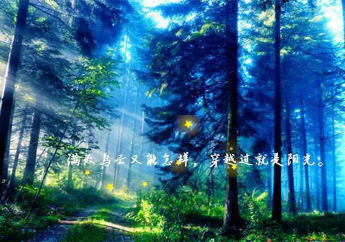 小说和影帝老公上综艺后主角为鹿云瑾穆简尘免费阅读