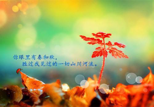 分手正能量的句子
