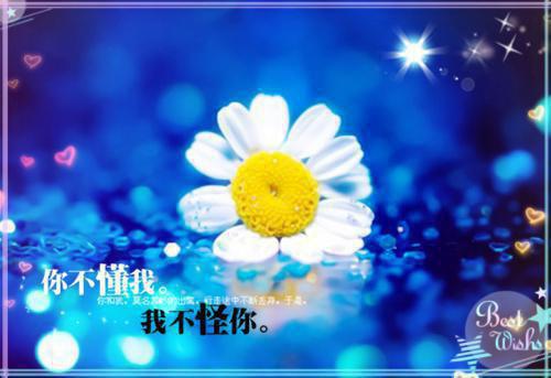 全章节小说医妃二嫁，病娇王爷多子多福了by言宝阅读