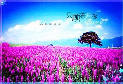 《精修版兽世在逃小娇娇完结了吗》全本小说_千蕴沧弥全本阅读