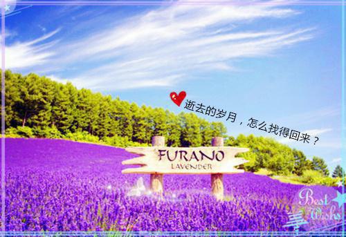 全本小说都市桃运狂龙陈小根秦小婉全文免费阅读