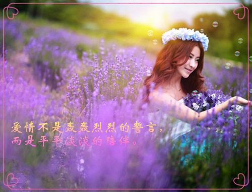 七零:嫁给心上人后,她每天都在装温柔畅读免费小说温瑜邵文烨全章节阅读