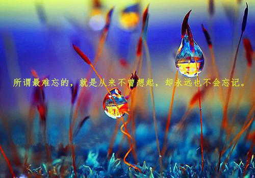 热门小说完整文本阅读陆祉年姜岁初甜宠救赎:竹马的爱慕心藏不住了姜岁初陆祉年全文免费阅读