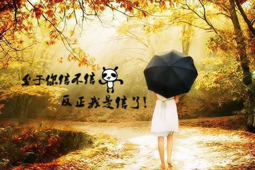 宋乔盛昊全文小说全章节目录免费阅读