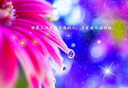 阿豪白慕雅神豪系统白慕雅,慕雅跟,付钱小说_阿豪白慕雅神豪系统完结版阅读