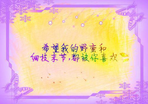 天才三宝：离婚后总裁跪求复婚苏倾诺封煦霆小说最新章节免费阅读