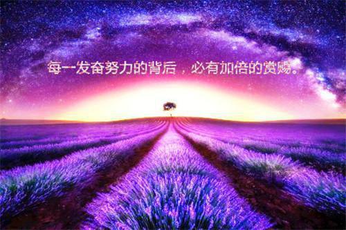 有不甘裴舒晚贺仪光最新章节完整版小说阅读