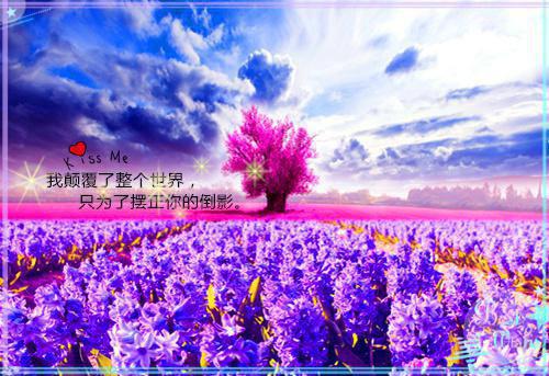 优美的正能量句子大全