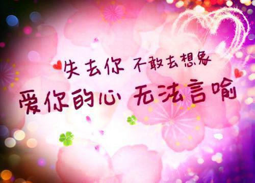 青海长云的小说身家数十亿的富豪沈秋生沈秋生姚雨葭完结版阅读