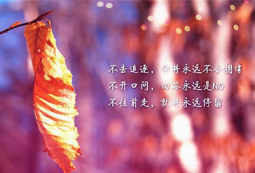 正能量人生感悟的句子简短的