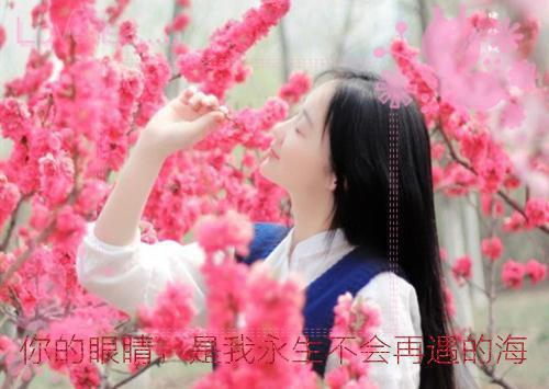 沈温言闻屹川「精彩小说」沈温言大结局阅读