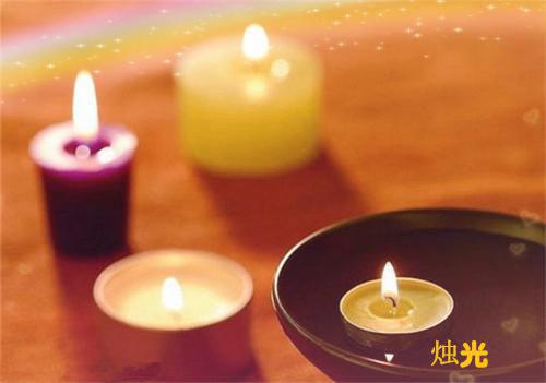 失忆后，我让赘婿老公净身出户全文阅读_赵姨,沈悦,舒颜小说免费阅读