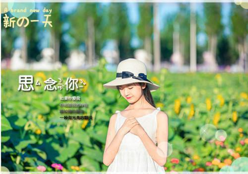 沈青禾徐清彦（沈青禾徐清彦）全文免费阅读无弹窗大结局_（沈青禾徐清彦）沈青禾徐清彦免费阅读无弹窗最新章节列表（沈青禾徐清彦）