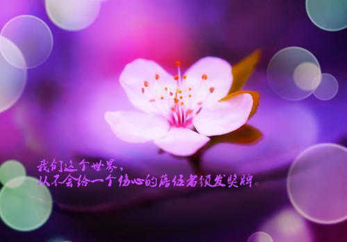 人气小说谢栀裴渡谢栀裴渡免费试读