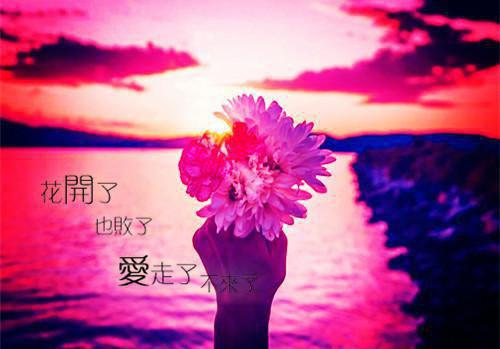 免费小说亲手丢掉十年的爱by佚名完结版阅读