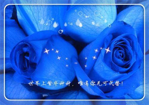 好看的郁绒贺从霖小说_郁绒贺从霖最新章节阅读