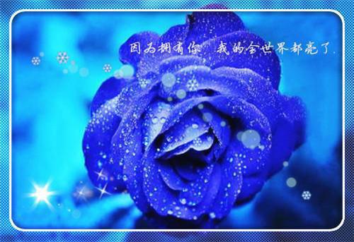 小说隐身：看尽女神的秘密余生燕妮完结版全文免费阅读