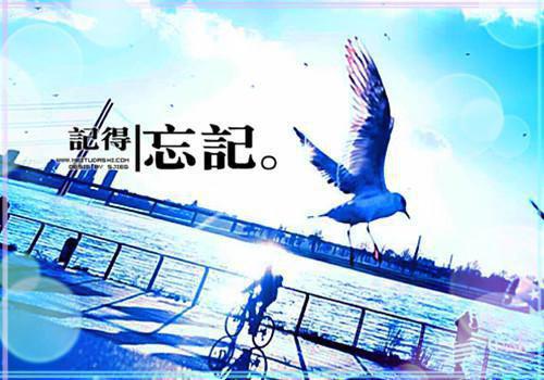 小说沈曦谢逸by沈曦大结局免费阅读