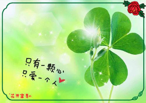 情恋检讨热门小说（乐誉商喆）全文阅读