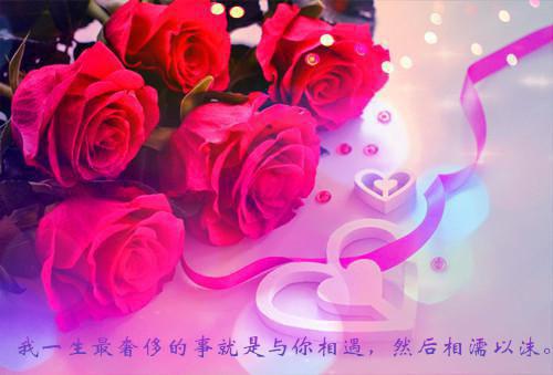 主母重生当后娘，渣夫一家悔断肠林婉清陆晋骁最新章节完整版小说阅读