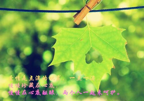 姜之梨郁祈然（改嫁权王秀恩爱，让侯爷望眼欲穿）全文免费阅读无弹窗大结局_姜之梨郁祈然最新章节（改嫁权王秀恩爱，让侯爷望眼欲穿）