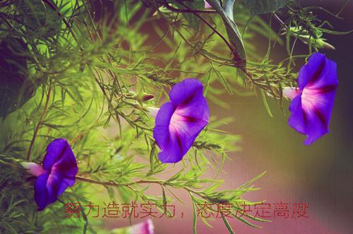 殷韵嫣褚晋明小说在线阅读（殷韵嫣褚晋明）全文免费阅读无弹窗大结局_殷韵嫣褚晋明小说免费最新章节列表（殷韵嫣褚晋明）