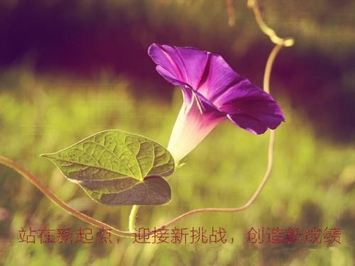 喻曼宁冯承阳免费小说喻母,冯承阳,冯哥全章节阅读