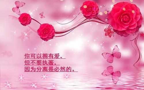 娇妻火辣辣:帝少放肆宠（娇妻火辣辣:帝少放肆宠）全文免费阅读无弹窗大结局_娇妻火辣辣:帝少放肆宠(赵雅楠楚宇轩免费阅读)（娇妻火辣辣:帝少放肆宠）