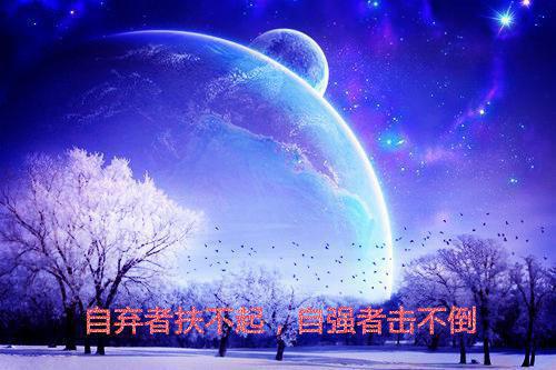 正能量清新文艺的句子短句