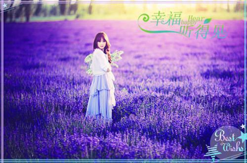 宁枝写的小说宁枝顾景予小说全文阅读