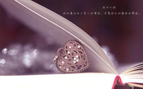 沈确闻烟小说在线闻烟全文小说免费阅读