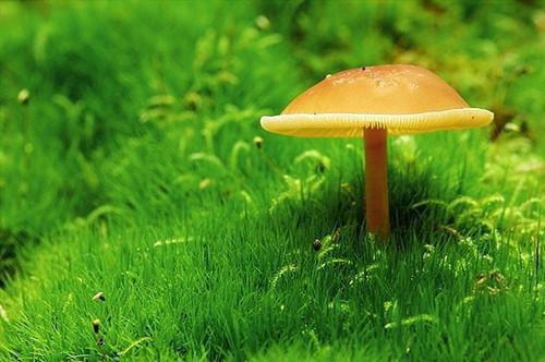 甜宠救赎:竹马的爱慕心藏不住了（姜岁初陆祉年）全文免费阅读无弹窗大结局_甜宠救赎:竹马的爱慕心藏不住了(姜岁初陆祉年免费阅读)（甜宠救赎:竹马的爱慕心藏不住了）